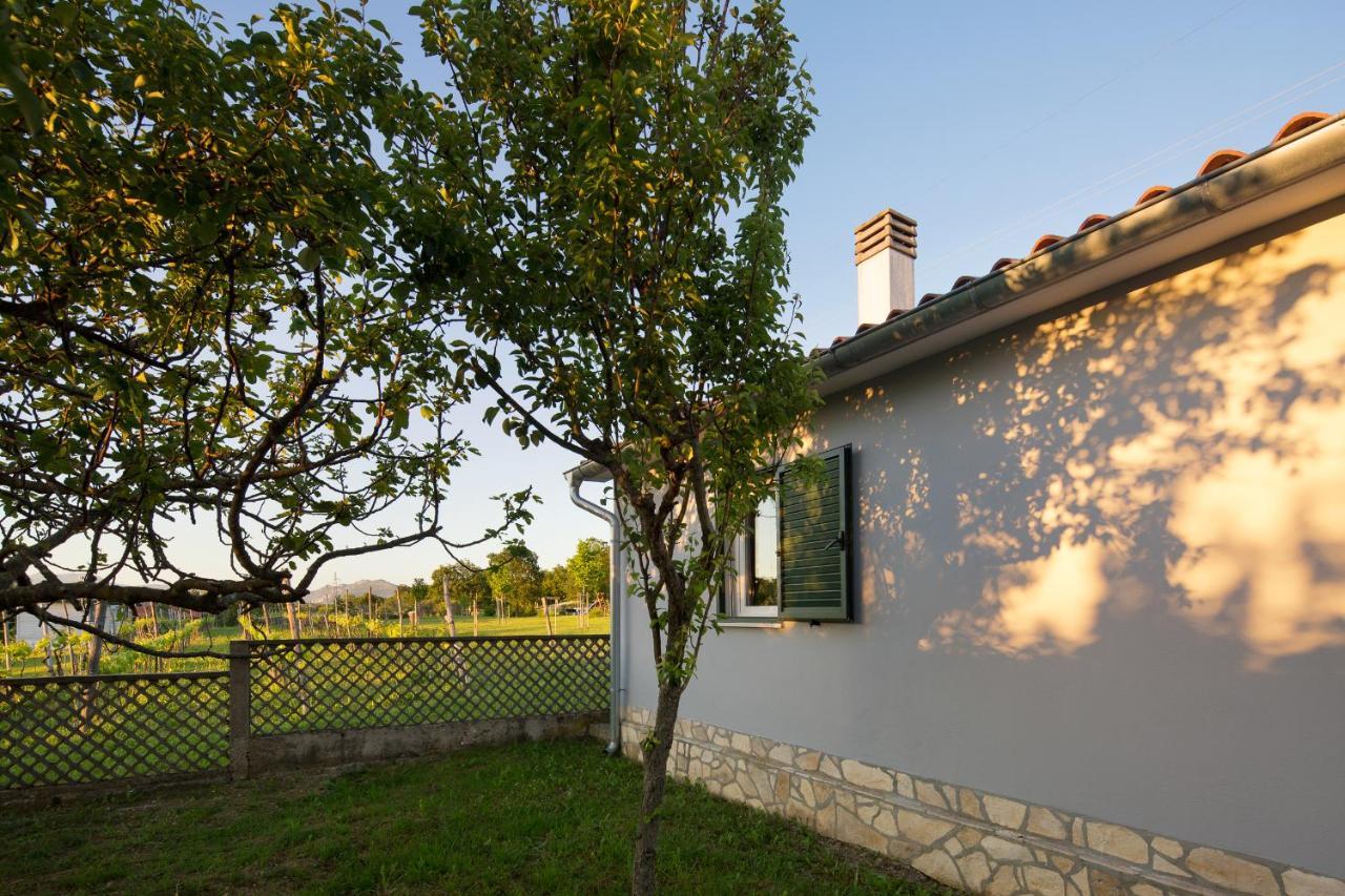 Villa Amaryllis Labin  Exteriör bild